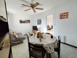 Confortable T2 avec parking privatif et loggia - 4 personnes - FR-1-795-24