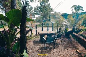 Mây Lang Thang Homestay Măng Đen