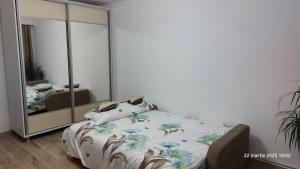 Targu Jiu Center Apartment
