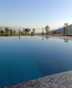 The Tribe Panchgani
