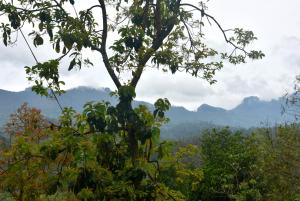 Diyathalawa Chandrika Villa