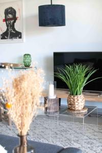 Appartements Le Bonamour - Elegance et serenite entre plage et port : photos des chambres