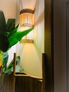 Appartements La Terrasse Enchantee, Romance, Cosy et Jacuzzi : photos des chambres