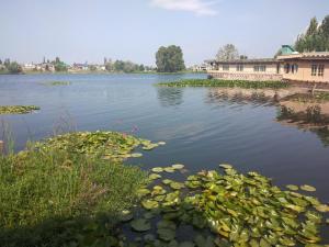 Serenity On Waters HB Kohisar