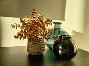 Modernes Loft-Erlebnis mit Fitnessbereich & Heimkino