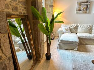 Appartements Le Havre de Pierre au bord de Rance : photos des chambres