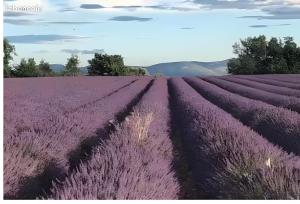 Bastide la Fondue