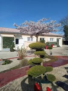 une pause quelque part au jardin des érables et des niwakis - Camps