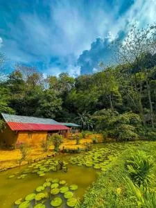 Eco Lodge Meemure & Adventure Park - Madulkele