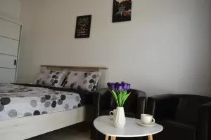 Studio C&L - Sînpetru