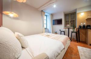 Appartements La voyageuse : photos des chambres