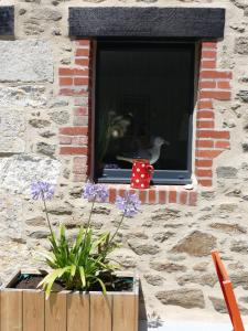 Ker Augustine Maison de pecheur 3 étoiles Clévacances