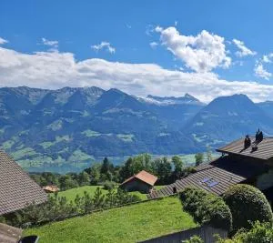 Best View by Lucerne & Mountains - 吉斯维尔