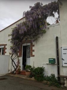 Maisons de vacances Cocon : photos des chambres
