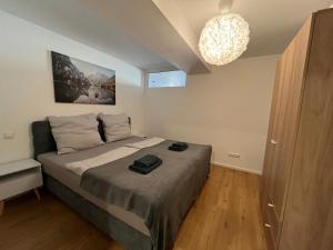 traumhafte Business & Relax Wohnung direkt im Stadtkern Oettingens by Elation Homes