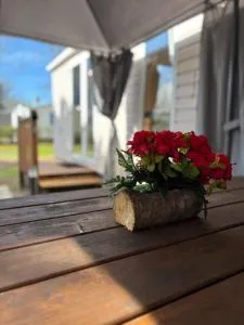 Parc Résidentiel à La Cotinière, Piscine, proche Plage, Nature & Calme - Les Sables Vignier
