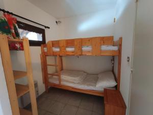 Grand studio ski aux pieds, lumineux et animaux acceptés - FR-1-445-116