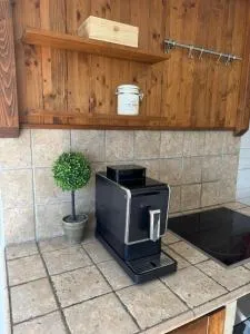 Pelini - 2 - 圣安德烈