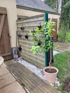 Maisons de vacances Le paradis a la campagne : photos des chambres