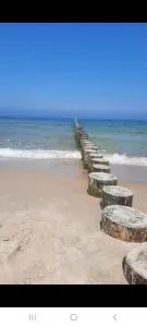 Władyslawowo Łebcz Modrzew - Łebcz