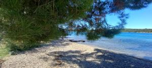 Blue Lagoon Apartment Silver