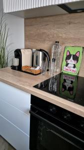 Scandi LOFT 93 Oradea ARED