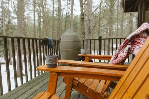 ADK Forest Cabin near Lake Placid with Hot Tub and Ice Bath