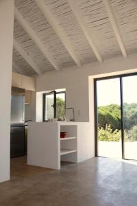 Beautiful country home immersed in pine nut farm