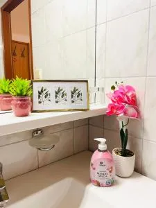 E&C Pension Rooms - 施韦夏特