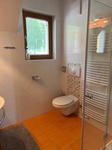 BOLFI LUX Apartma z balkonom