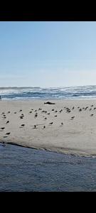 Atico maravilloso en Cangas , Vigo