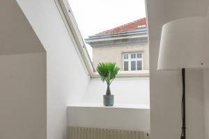 Homely 3BR Apt Perfect for families and groups