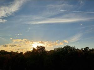 Appartement Farbenfroh