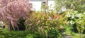 La Grille Fleurie, chambres dhôte chez lhabitant