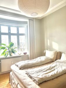 Cosy Vesterbro apartment