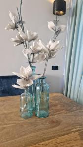 Modern spacious holiday home within walking distance of the North Sea beach in De Koog