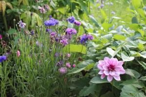 Vargheden B&B och trädgård