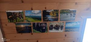 Bieszczadzka Chatka Gosia - Off Road , Quady , Jazda Konna