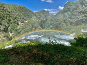 La casa del timo - The house of thyme