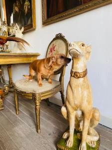 B&B / Chambres d'hotes Chateau Ciers : photos des chambres