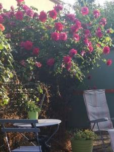 Hébergement de vacances à riez à 10 minutes environ du lac de sainte Croix du Verdon - Ubytování bez kategorie ve městě Riez