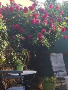 Hébergement de vacances paisible à riez près du lac de sainte Croix du Verdon - Puimoisson