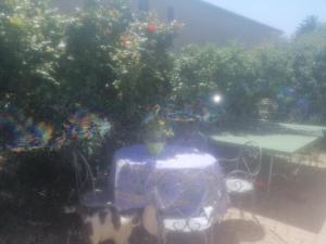 Hébergement de vacances à riez à 10 minutes environ du lac de sainte Croix du Verdon