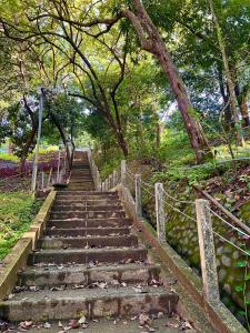 Zen Zaru Free MA Park Tour & Breakfast