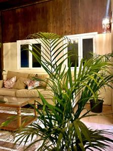 Downtown Lungs Rooftop