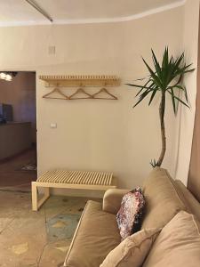 Downtown Lungs Rooftop