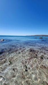 Atalanni at Shelley Point