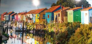 Maisons de vacances Pomme de Pin et Mimosa : photos des chambres