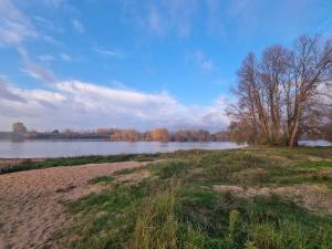 Maisons de vacances Troglo en bord de Loire, entre vignes et chateaux : photos des chambres
