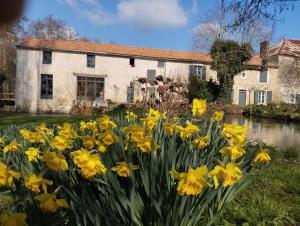 Gite du moulin